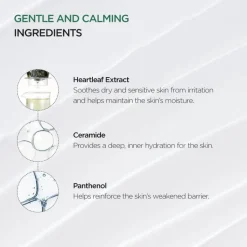 ANUA Heartleaf 70% Intense Calming Cream