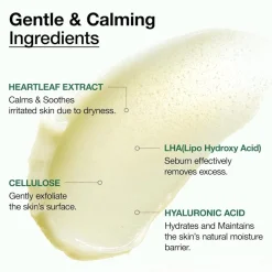 ANUA Heartleaf LHA Moisture Peeling Gel