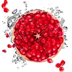 Garnier Skin Naturals Garnier SkinActive Hydra Bomb Tissuemasker